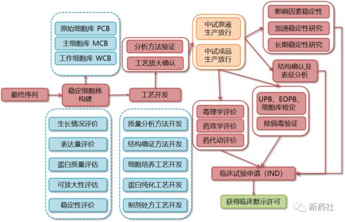 史上最全药品研发全流程图总结