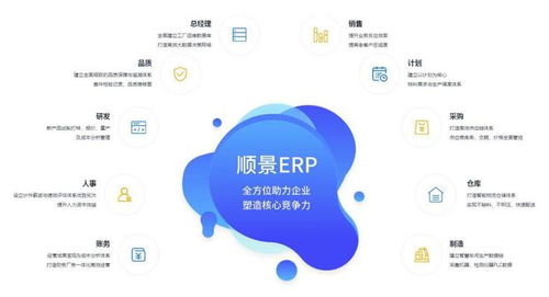 顺景erp 上线erp需要准备哪些资料